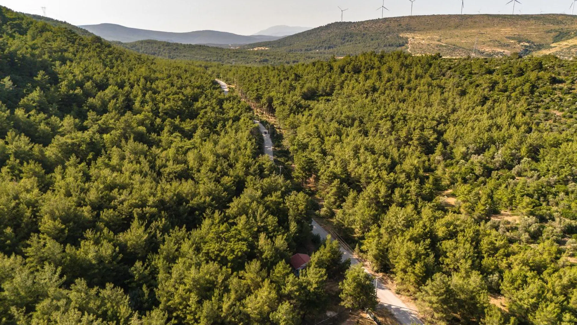 Vila Ozzy Tiny House- Woo Urla Turecko